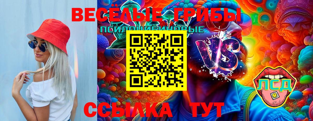 Галлюциногенные грибы GOLDEN TEACHER Новозыбков