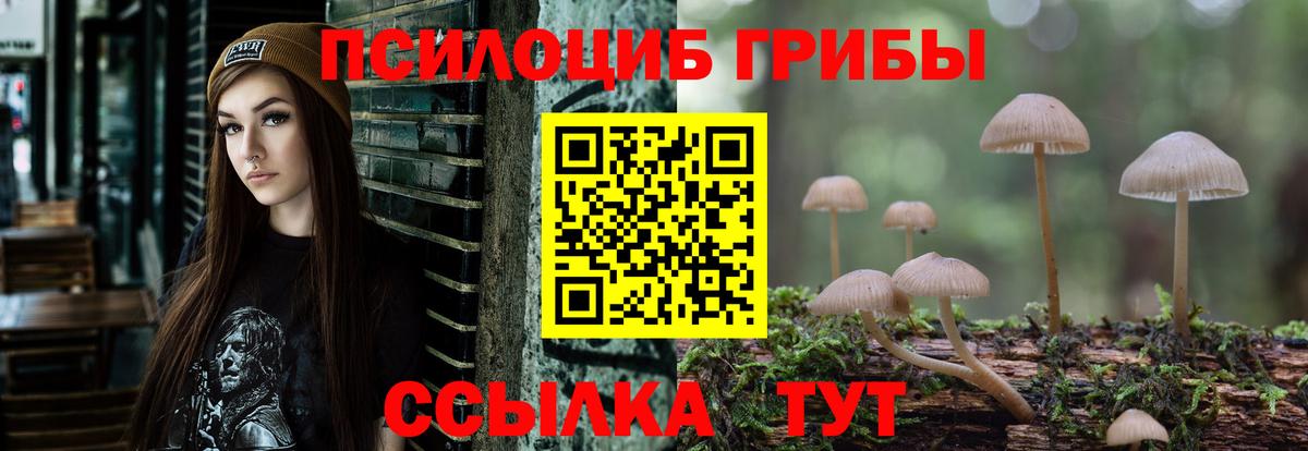 Псилоцибиновые грибы Psilocybe  Псилоцибиновые грибы Magic Shrooms  Новозыбков  Вход с VPN 